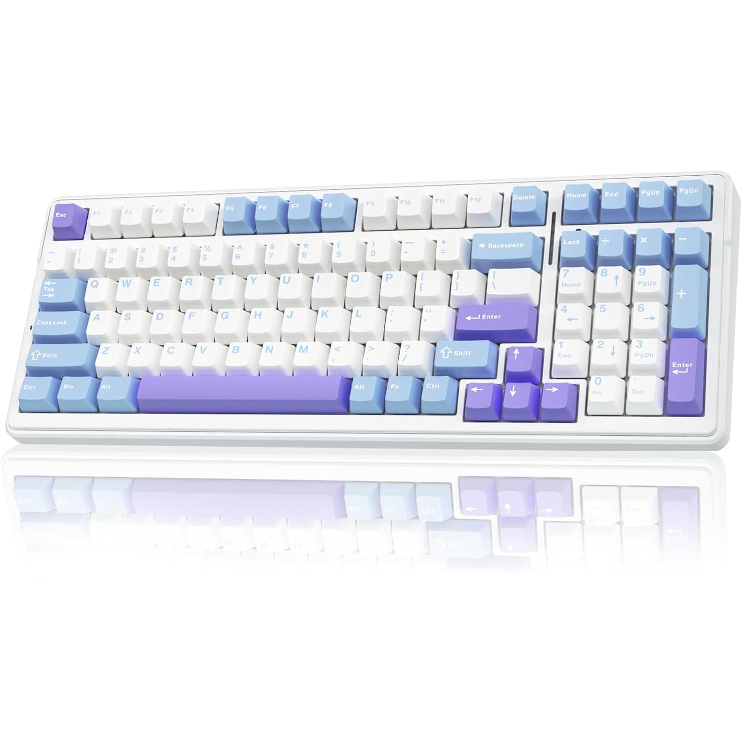 Keyboard with blue and purple keycaps on a white background